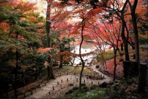 Koishikawa Korakuen Garden