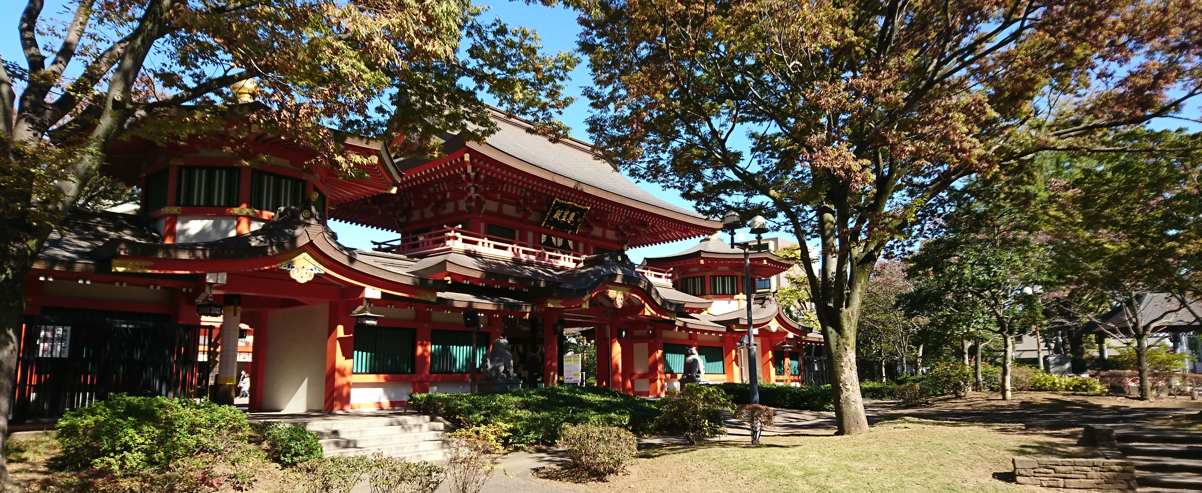 The Daily Chiba: Japan's Hidden Gem | Tokyo Room Finder