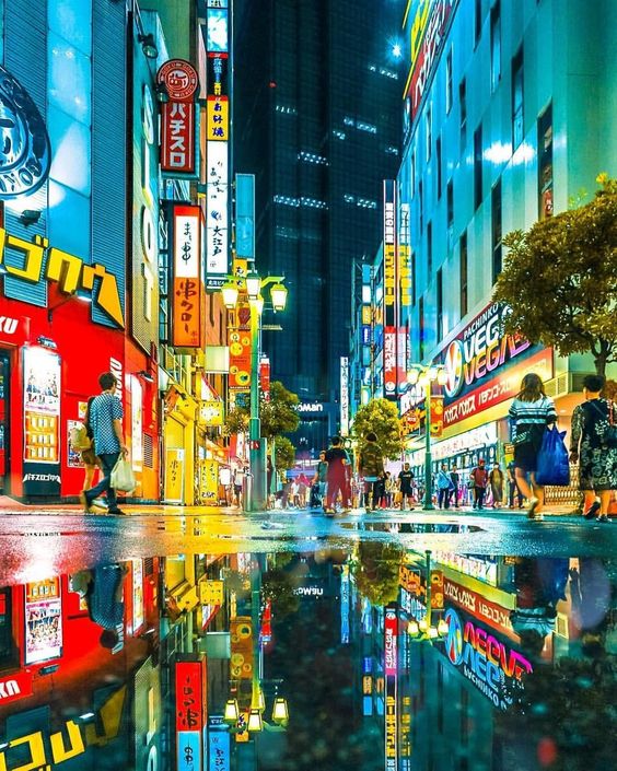 Rainy Season in Tokyo - Tokyo Room Finder Blog