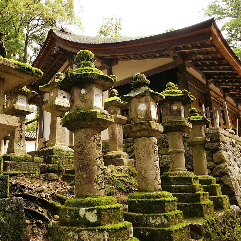 Kasuga Taisha