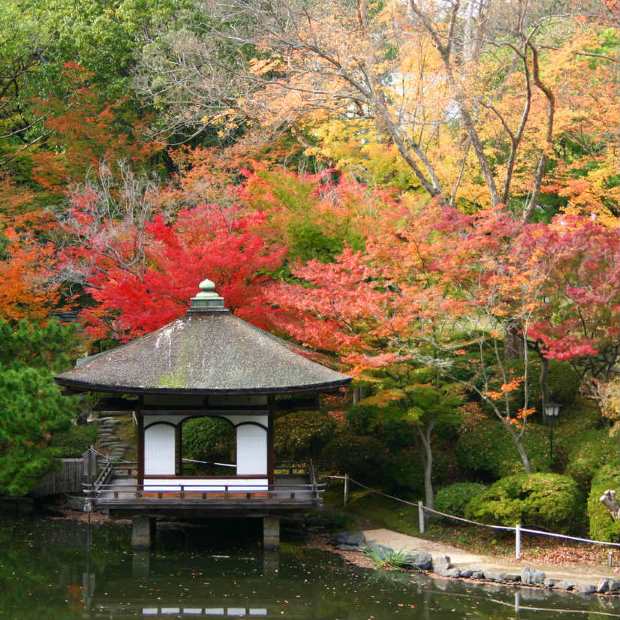 Teien Garden in Wakayama City