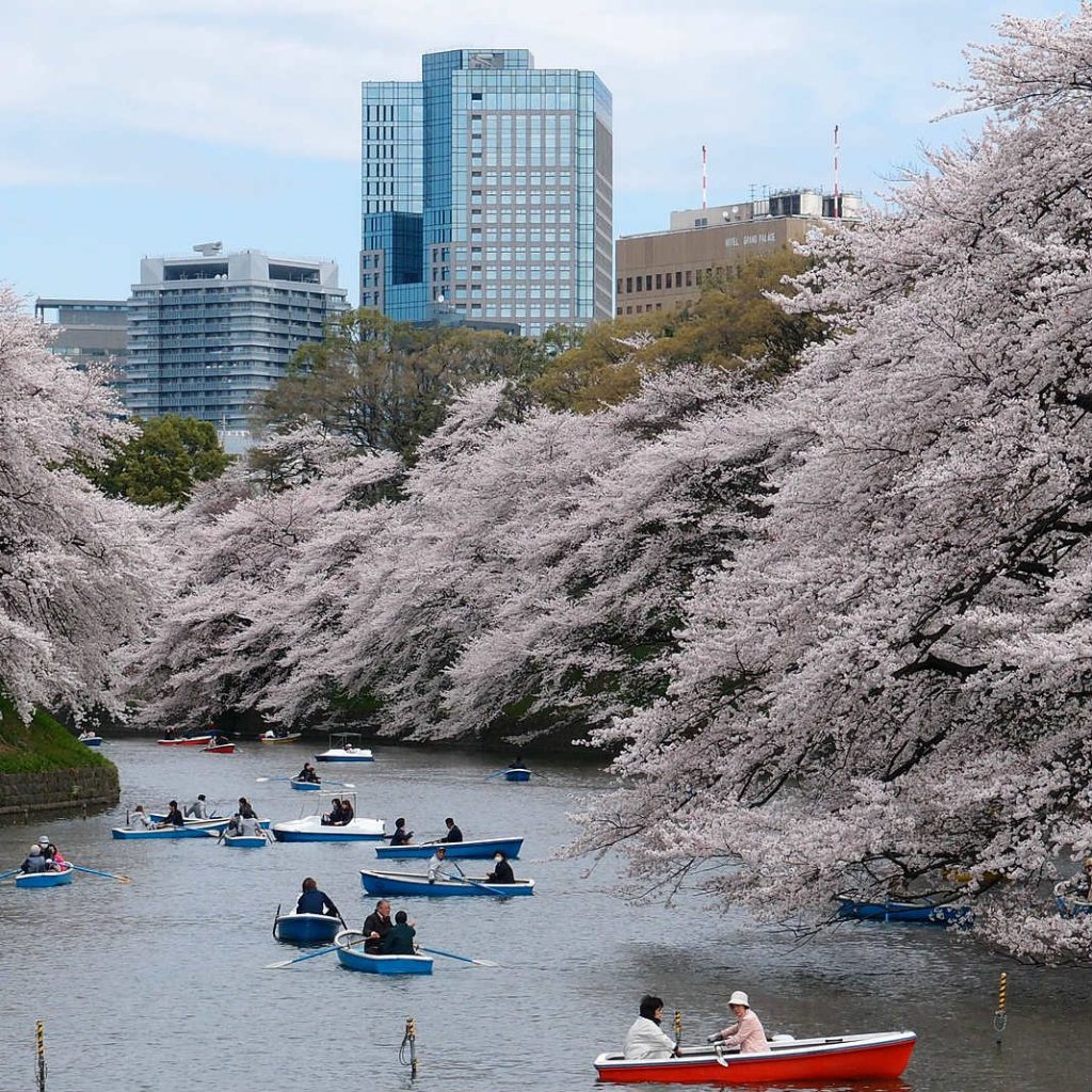 Ueno Park during Hanami season