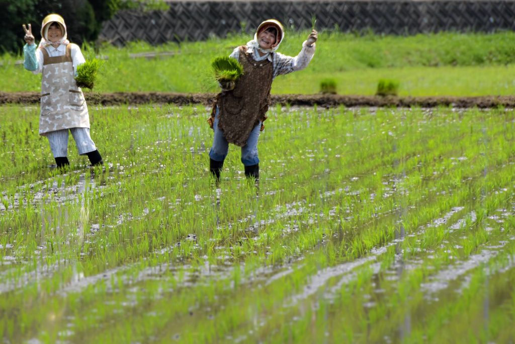 A guide to shooting people in Japan