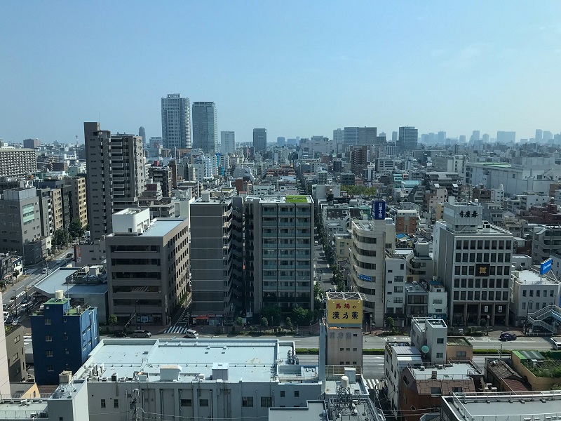 Tokyo Endless - view from a train