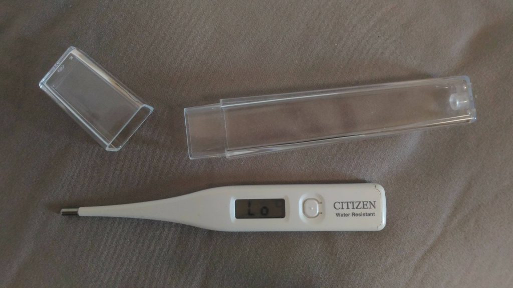 Japanese Digital Thermometer