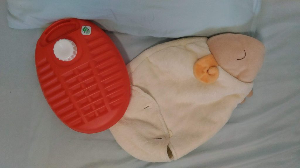 SHEEP COVER AND HOT WATER BOTTLE