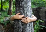 Shinrin Yoku person hugging tree