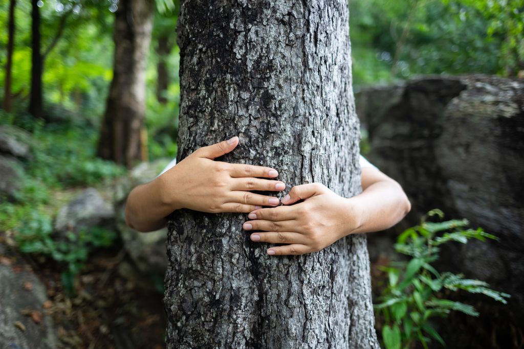 Shinrin Yoku person hugging tree