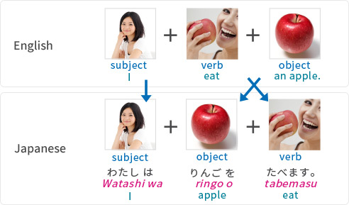  Chart comparing English and Japanese sentence structures.