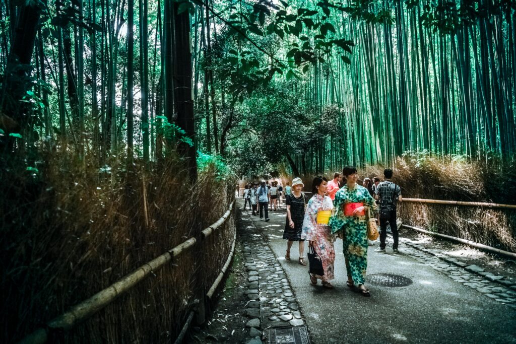 People walking through a bamboo forest in traditional Japanese attire.