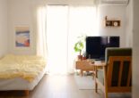 Cozy minimalist Japanese room with natural light, bed, potted plant, TV, and simple decor.