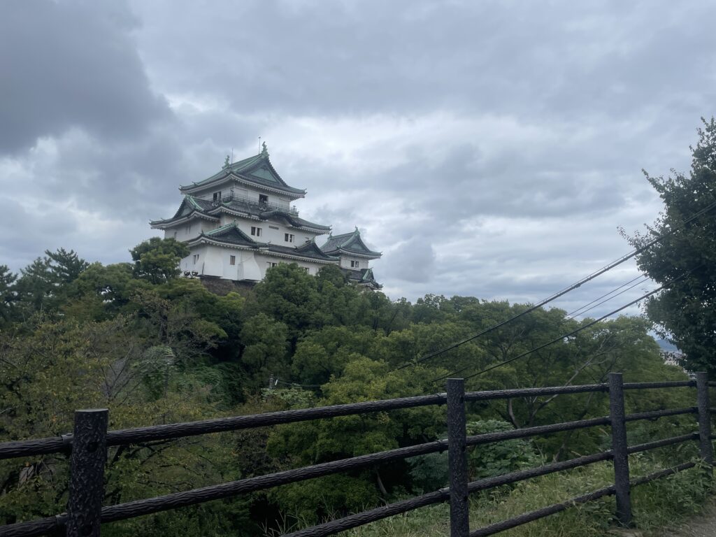 A distant view of Wakayama Castle perched on a hill, surrounded by lush green trees under a cloudy sky.