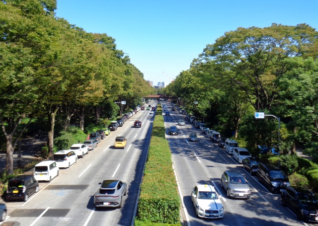 Major road bisecting Yoyogi Park with cars lined on both sides under green trees.