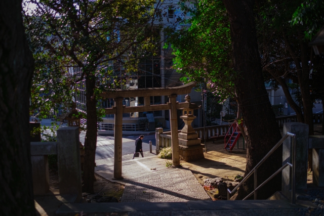 Konno-Hachimangu shrine nestled among trees with a torii gate in the foreground.