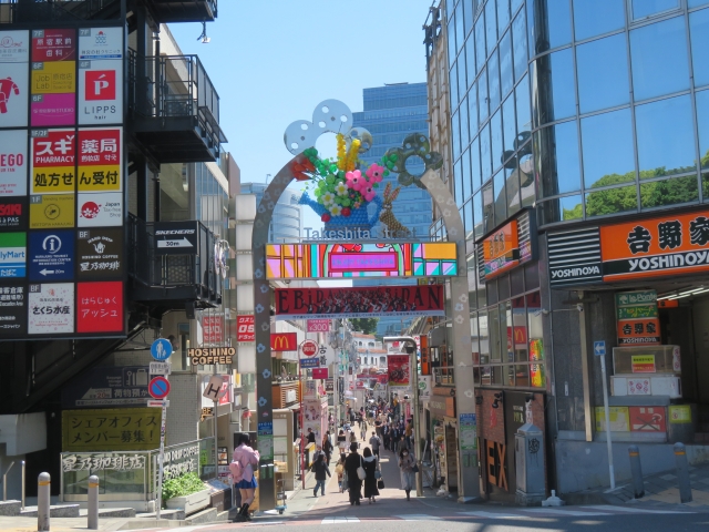 The bustling Takeshita Dori, where culture and crowds collide.