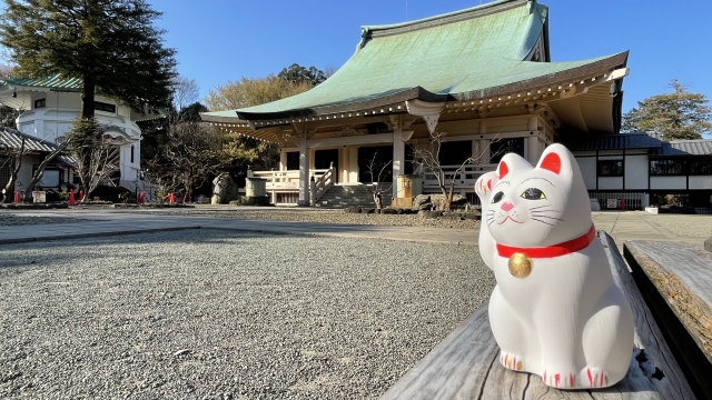 Gotoku-Ji Temple with maneki-neko statues