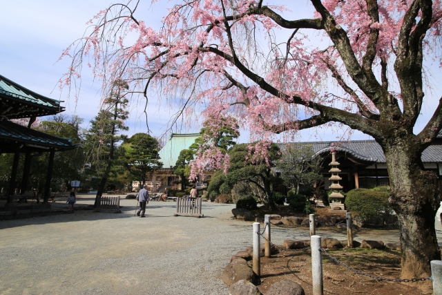 Historic Edo temple grounds open to visitors