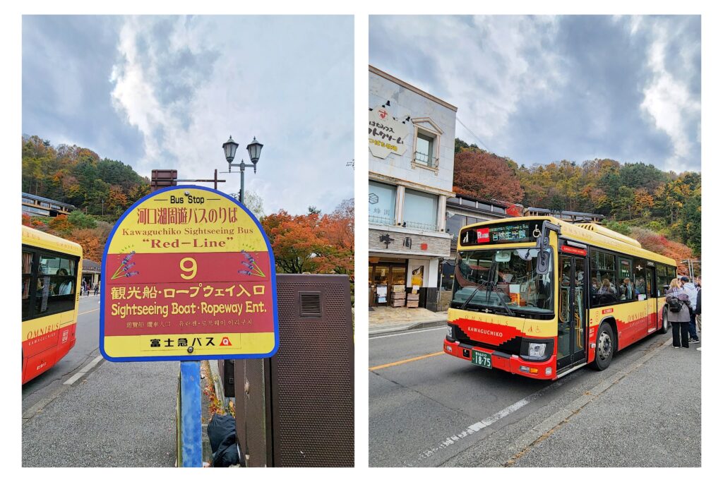 Red-Line sightseeing bus stop and the bright yellow Kawaguchiko bus surrounded by autumn trees.