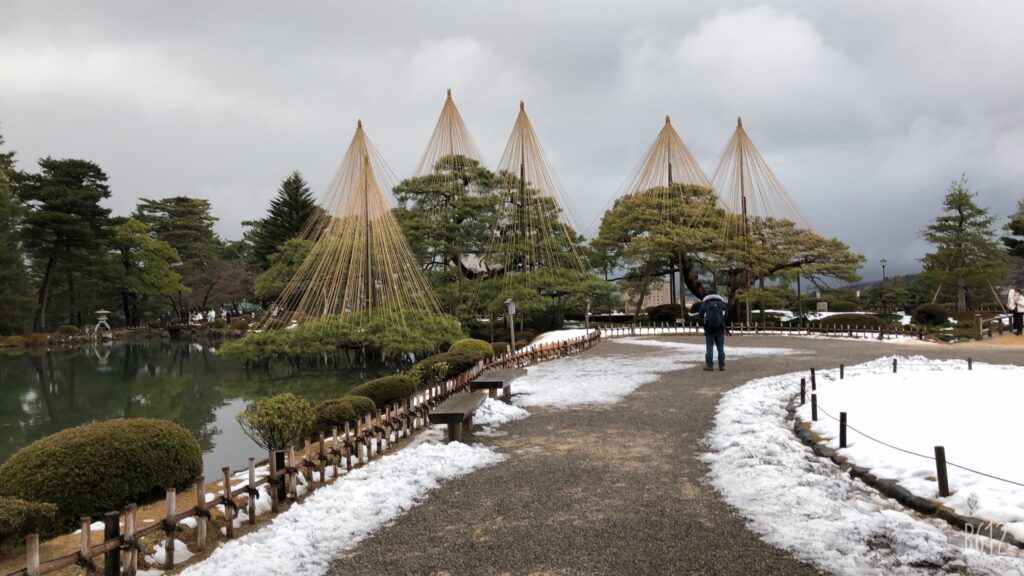 A scenic winter view of Kenrokuen Garden in Kanazawa with traditional yukitsuri rope supports protecting pine trees from snow damage.