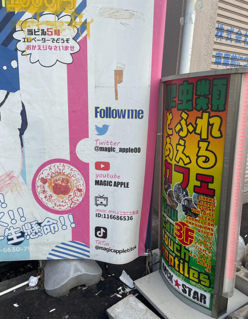 A colorful sign outside ROCKSTAR Café displaying social media accounts and advertising the reptile café experience.