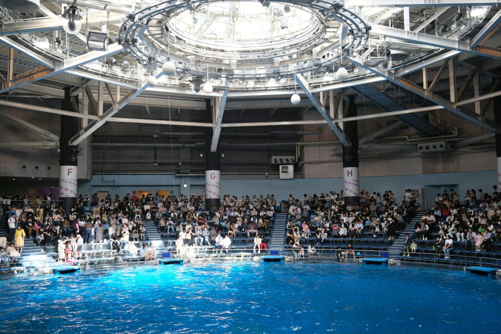 The Maxwell Aqua Park in Shinagawa, filled with spectators seated around a large circular pool, preparing to watch a dolphin show.