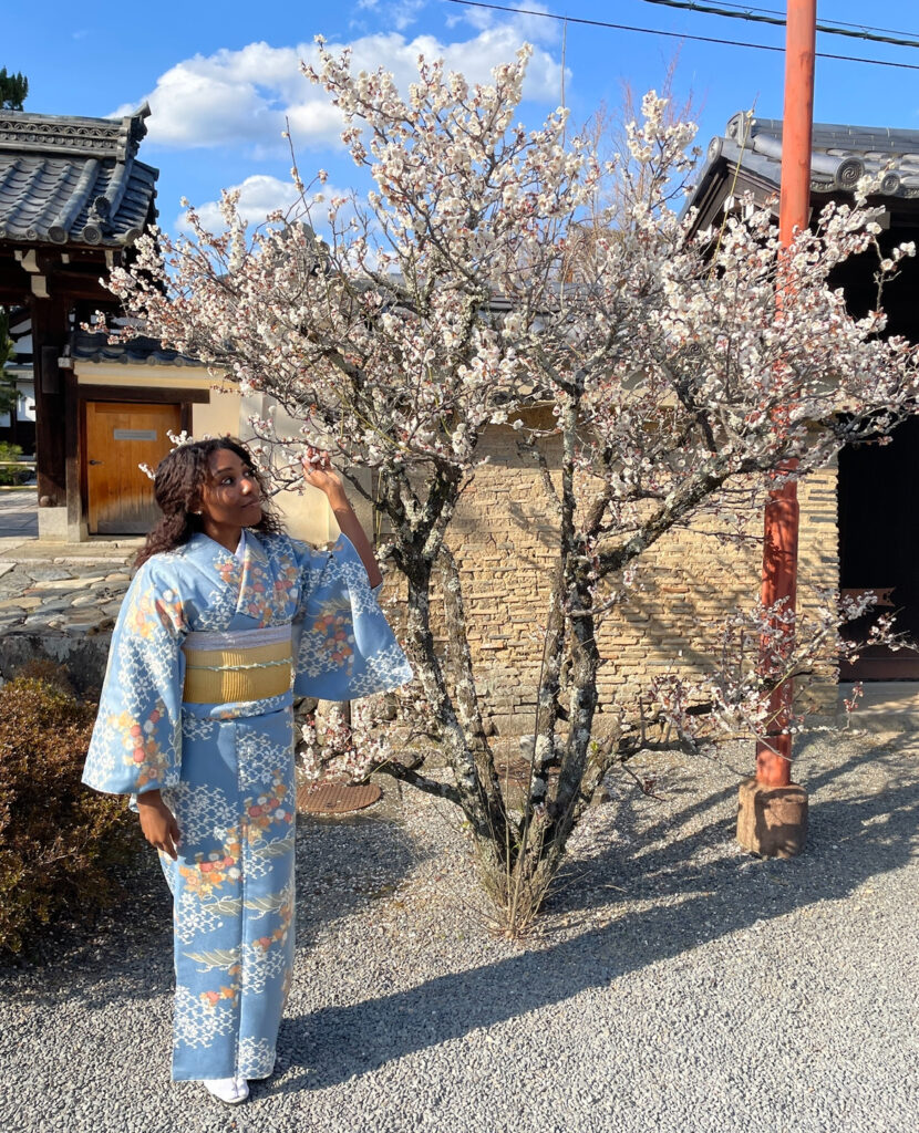 Woman in a light blue kimono admiring blooming sakura blossoms in a traditional Kyoto garden.
