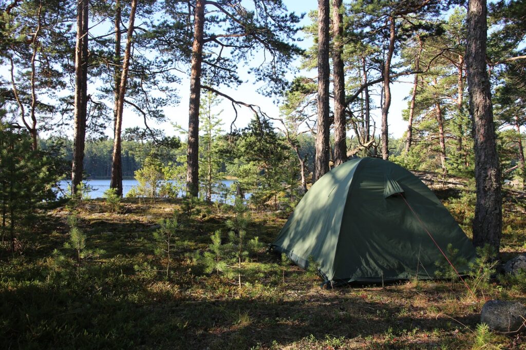 Green tent set up in a quiet forest clearing near a lake for camping.