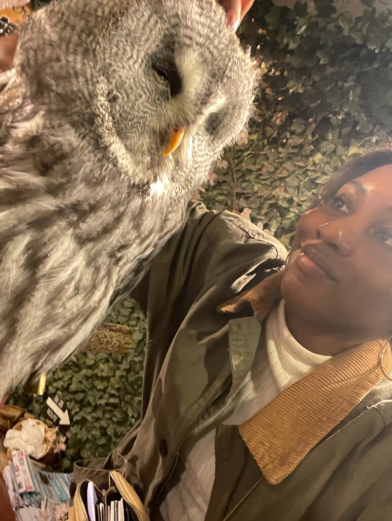 Woman smiling as she gently pets a large grey owl inside an owl café