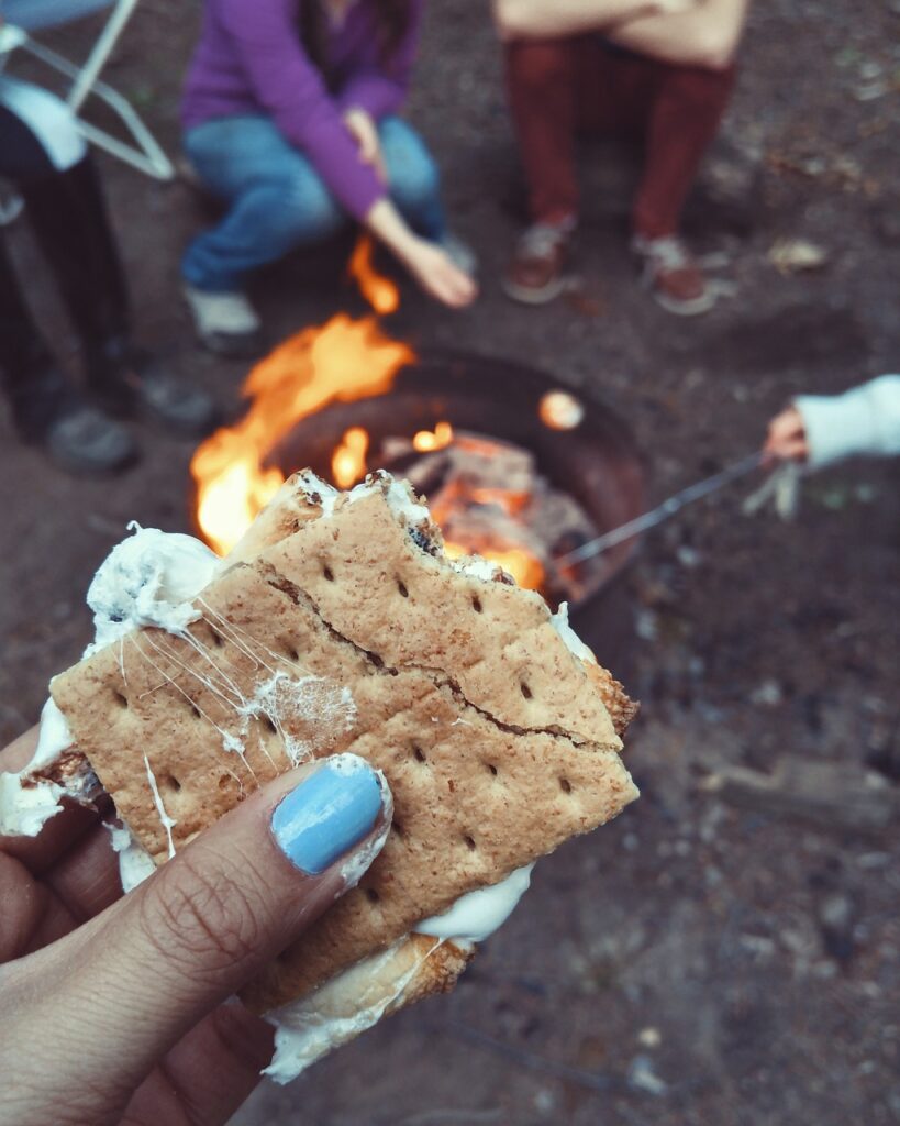 Person holding a gooey s’more in front of a campfire, with friends roasting marshmallows in the camping background.