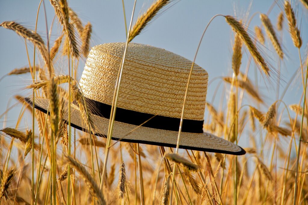 Straw hat in a wheat field, symbolizing the start of Osaka summer festivals
