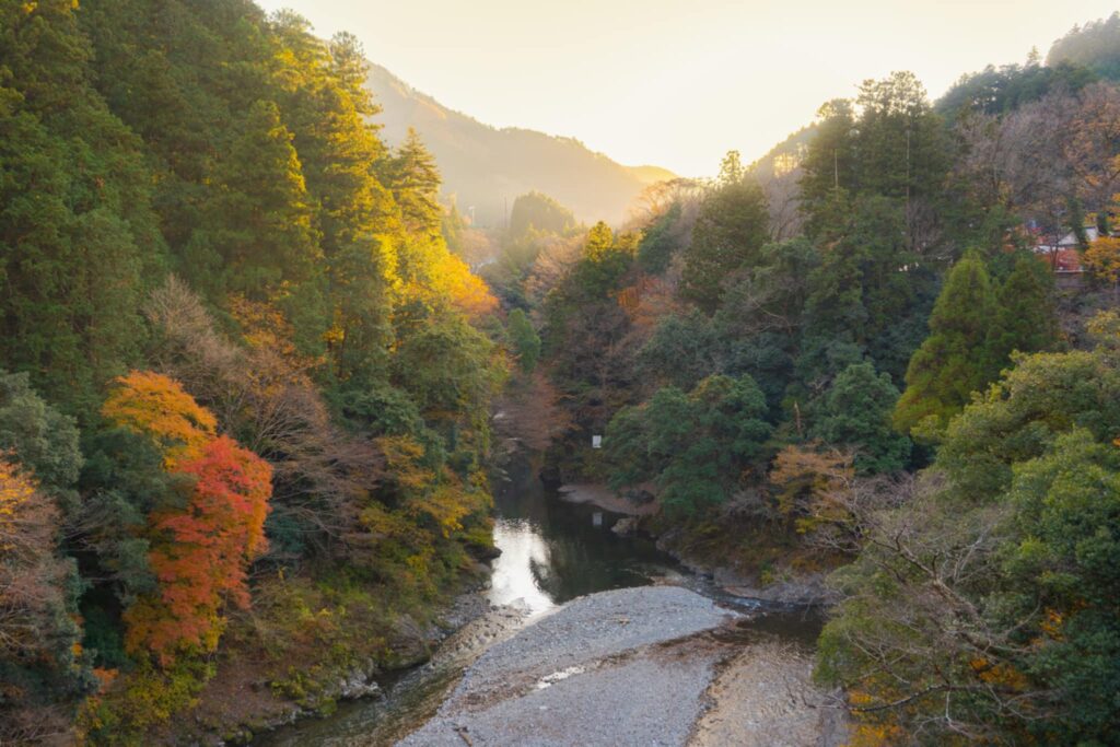 Warm golden light shining over a winding river surrounded by colorful autumn trees and mountains.
