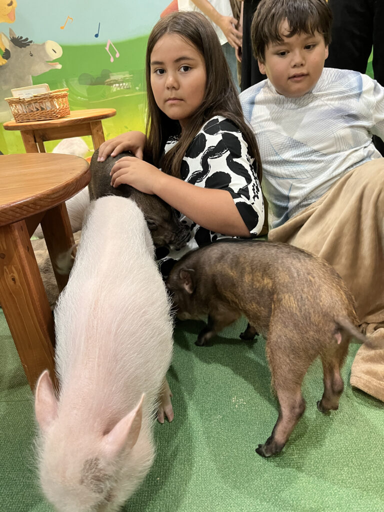 Mini pig café at Aeon Laketown where visitors can cuddle pigs and enjoy a drink.