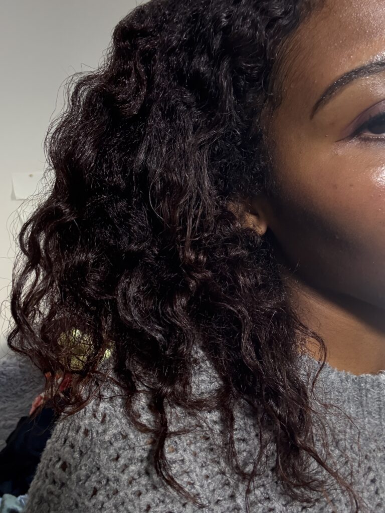 Side profile of curly hair with braid accent.