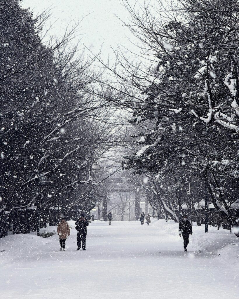 People walking along a snow-covered park path lined with tall trees.