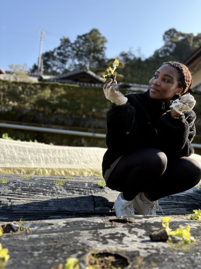 A woman crouching on a lettuce farm holding seedlings in both hands during the morning harvesting and planting experience.
