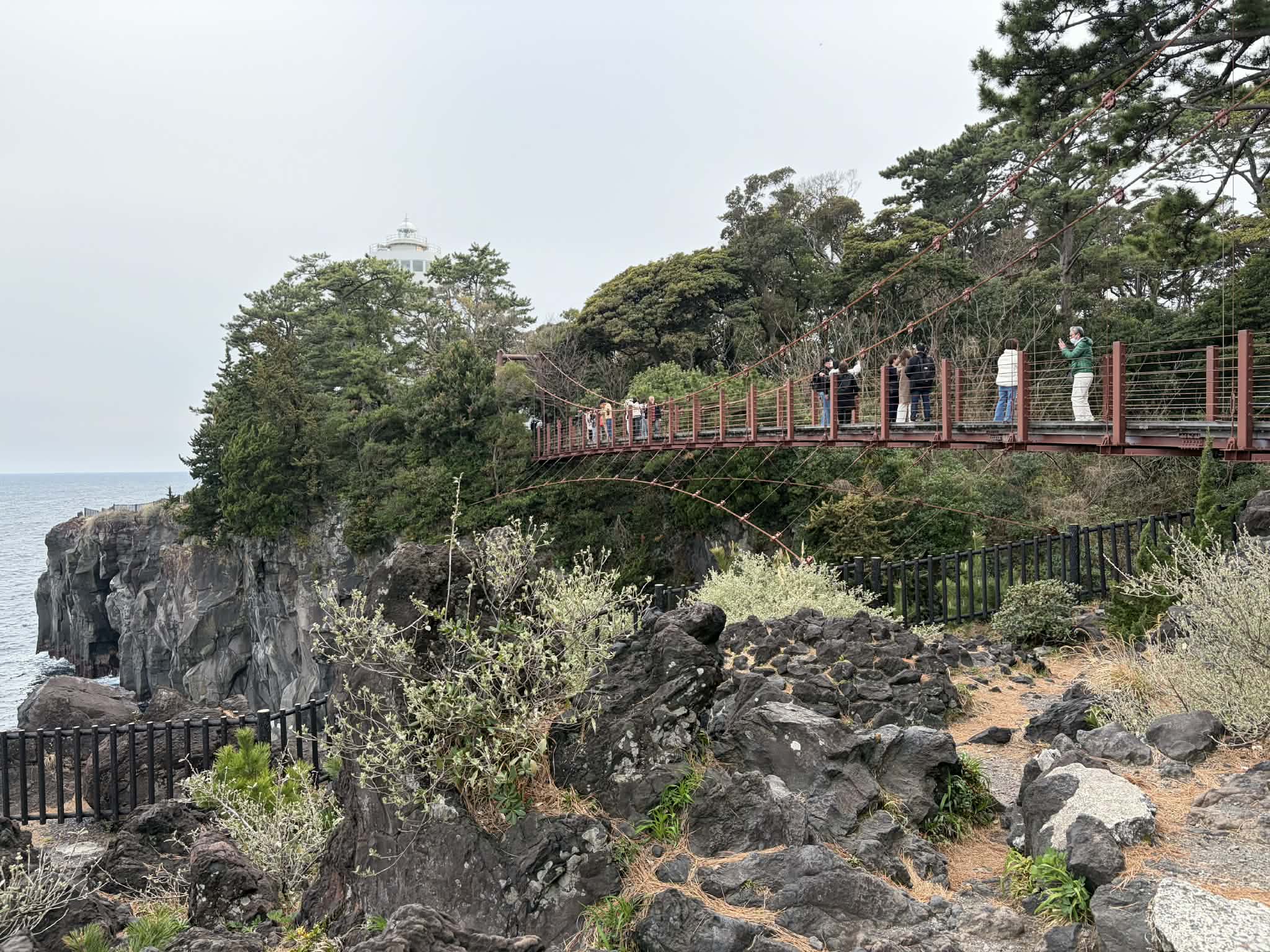 A Day Trip to Izu: Mount Omuro and Jogasaki Coast from Tokyo