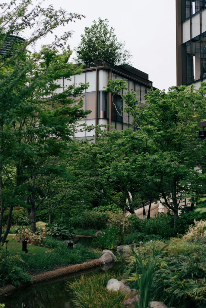 A lush green garden with trees, rocks, and a narrow stream beside modern buildings in Nerima.