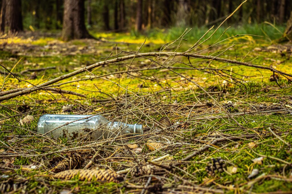 Plastic bottle discarded on a forest floor surrounded by branches and pinecones