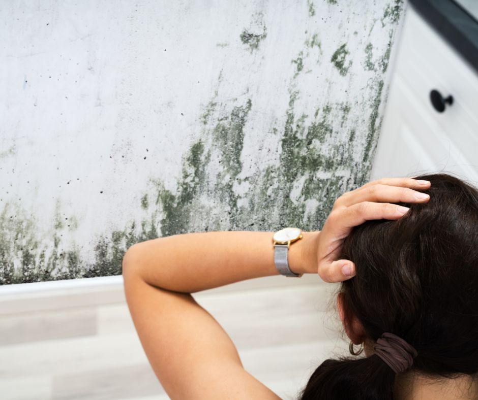 Mold growing on a damp wall while a person looks at the damage inside an apartment.