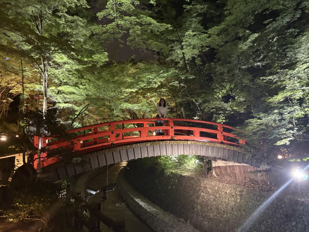 Promotional sign for Kyoto Nippon Festival featuring colorful floral artwork, traditional Japanese umbrellas, and Mika Ninagawa collaboration details.