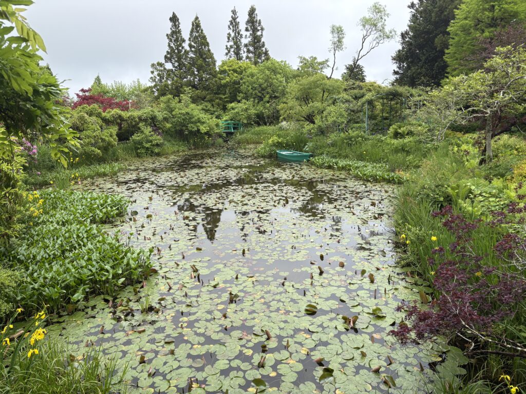 A scenic water garden at Garden Museum Hiei filled with lily pads, vibrant greenery, and peaceful walking paths that feel straight out of an impressionist painting.