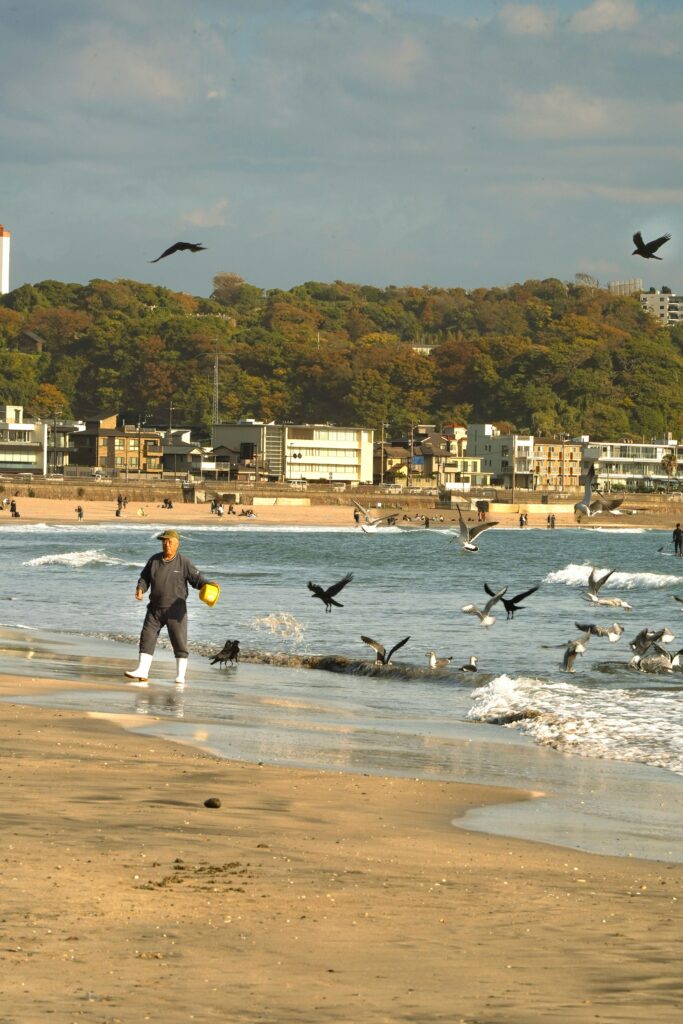 Man walks along the beach while feeding seabirds, with waves, autumn-colored trees, and seaside buildings in the background.
