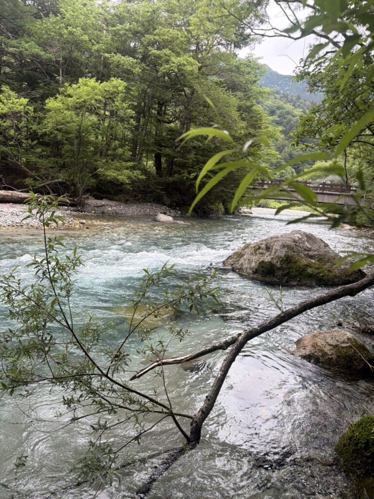Crystal-clear turquoise waters of the Azusa River flowing through the lush forests of Kamikochi with a wooden bridge in the distance, Nagano Prefecture, Japan.