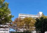 Apartment building in Japan surrounded by green and autumn-colored trees under a clear blue sky.
