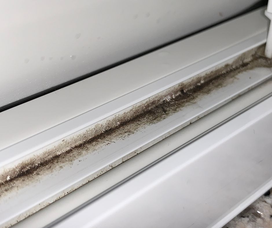 Mold and dirt buildup along a window track after Japan’s humid summer.