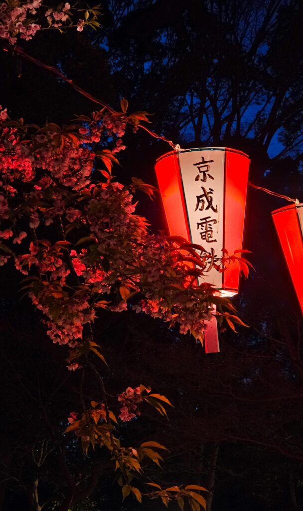 Glowing red Japanese festival lantern hanging among tree branches at night.