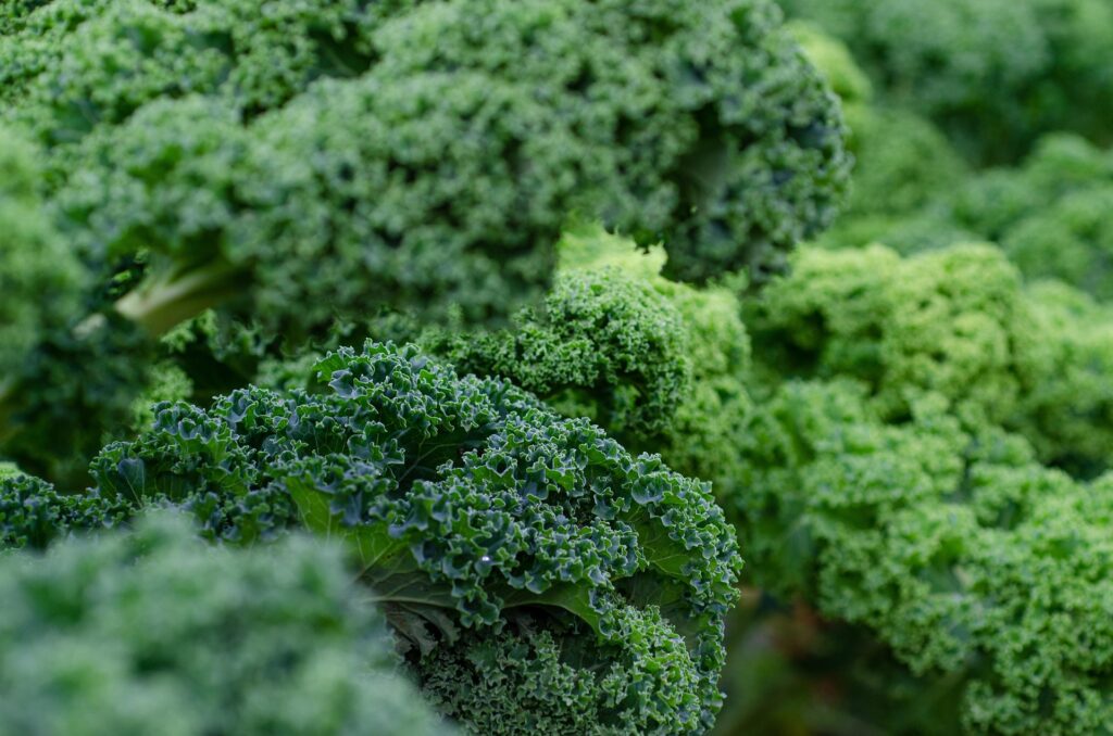 Fresh broccoli florets in a metal measuring cup on a wooden surface.