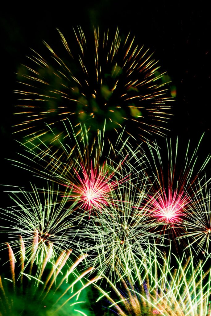 Colorful fireworks bursting across the night sky during the Edogawa Fireworks Festival.