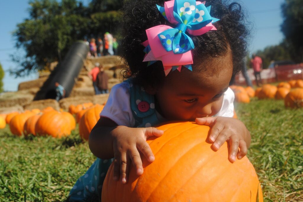 A young child hugs a large orange pumpkin at a pumpkin patch, enjoying a fun autumn activity.