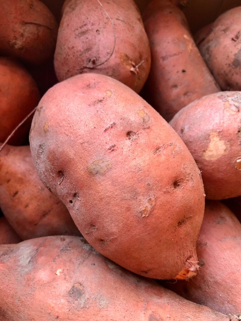 Close-up of freshly harvested Japanese sweet potatoes with reddish-purple skins, a popular agricultural product associated with Saitama.